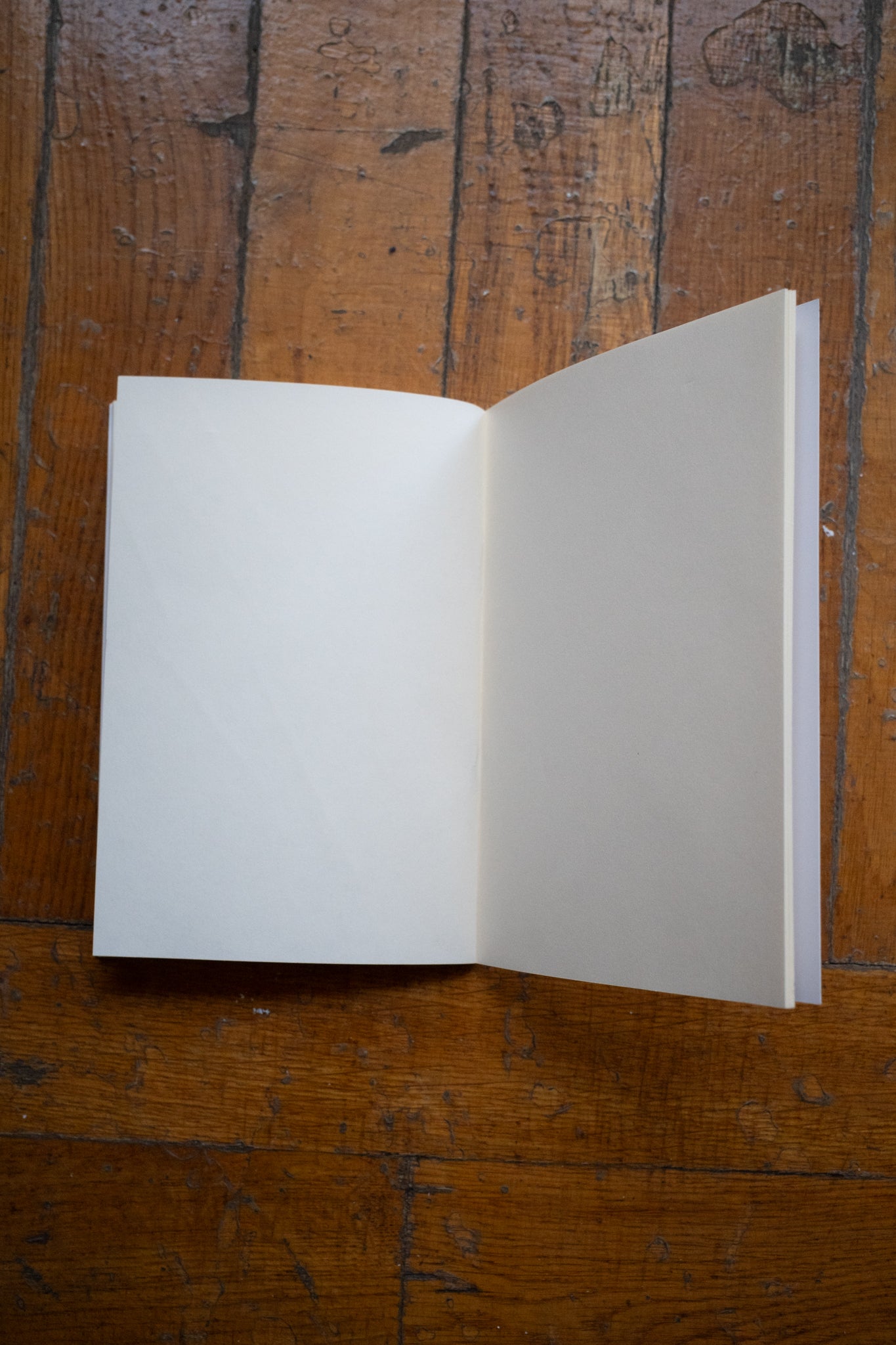 certified mozza notebook